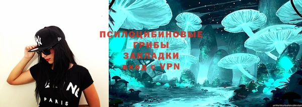 амфетамин Алексеевка