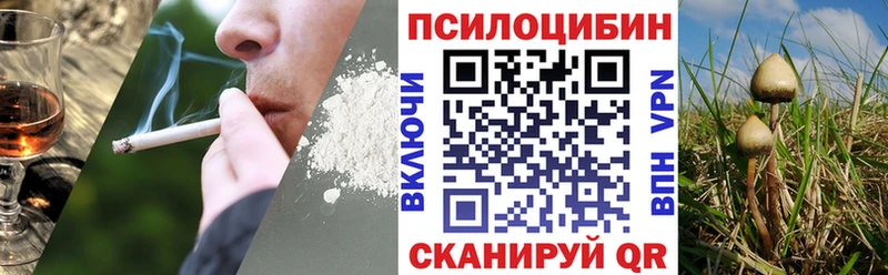 Галлюциногенные грибы мицелий  где можно купить наркотик  Сосновка 